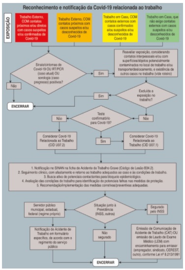 RECONHECIMENTO E NOTIFICAÇÃO DA COVID-19 x TRABALHO
